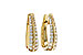 A275-30439: EARRINGS 1.00 TW