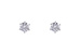C001-66757: EARRINGS .16 TW