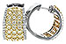 C189-84957: EARR 2.14 YELLOW DIAS 2.45 TW