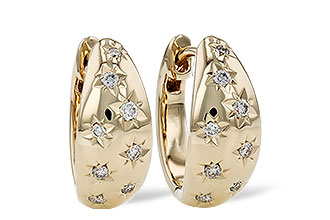 D276-18602: EARRINGS .17 TW