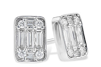 H273-46811: EARR .19 BAG .30 TW